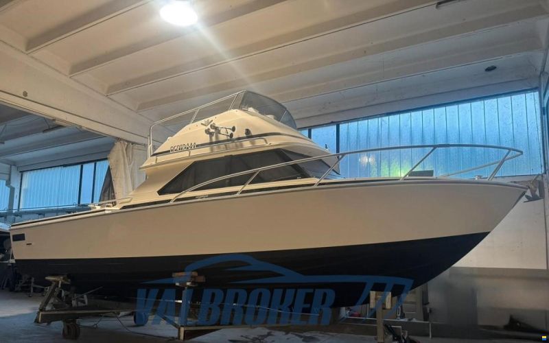 Bertram Yacht 28 Fly