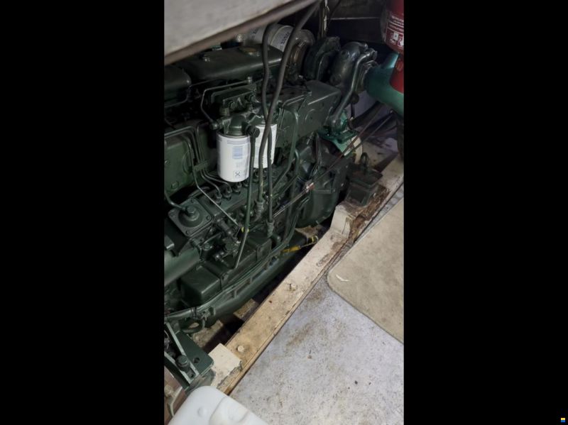 Birchwood TS50