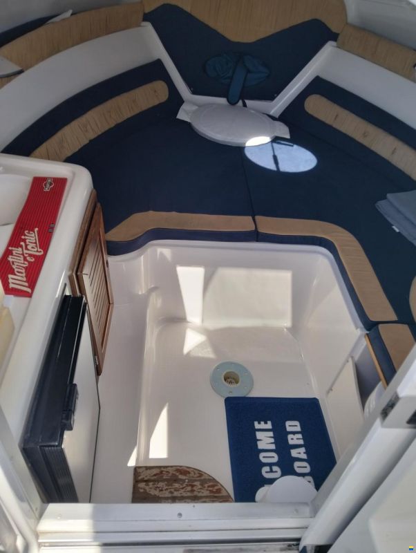 Ranieri Sea Lady 23