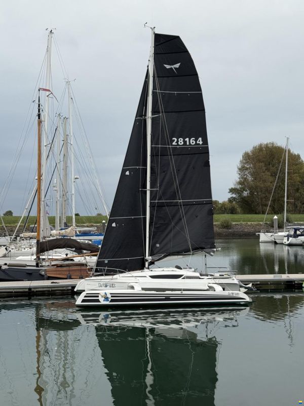 Dragonfly 28 Performance