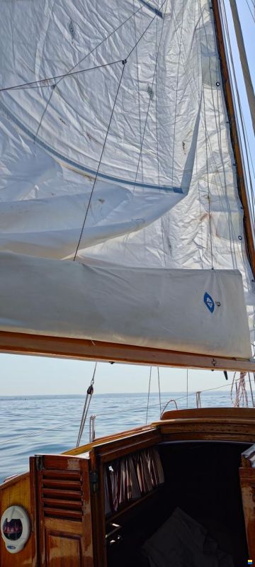 Vertens Sloop 6.6