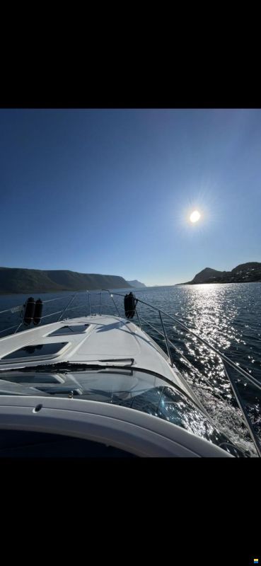 Sealine Sportcruiser 28