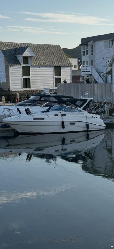 Sealine Sportcruiser 28