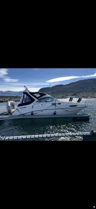 Sealine Sportcruiser 28