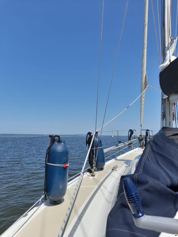 Dehler 34/optima