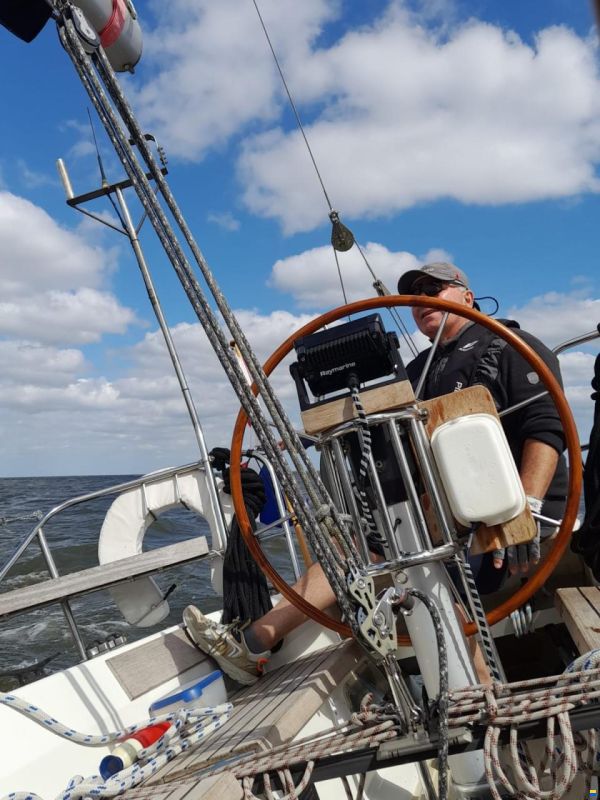 Dehler 34/optima