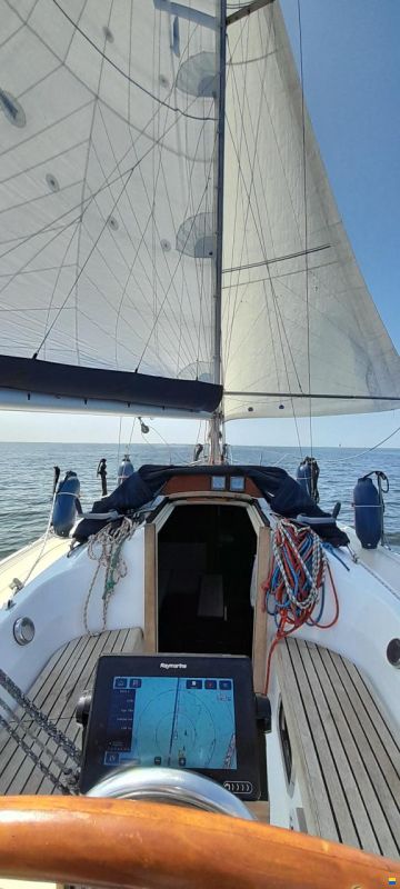 Dehler 34/optima