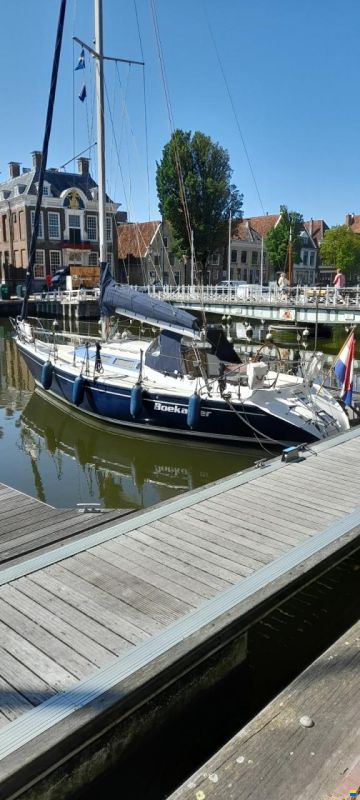 Dehler 34/optima