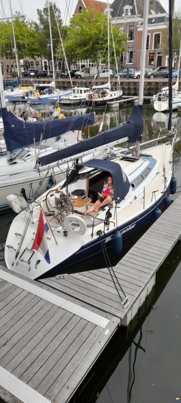 Dehler 34/optima