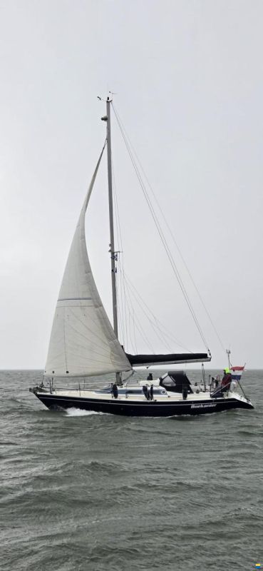 Dehler 34/optima