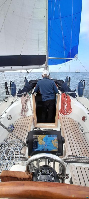 Dehler 34/optima