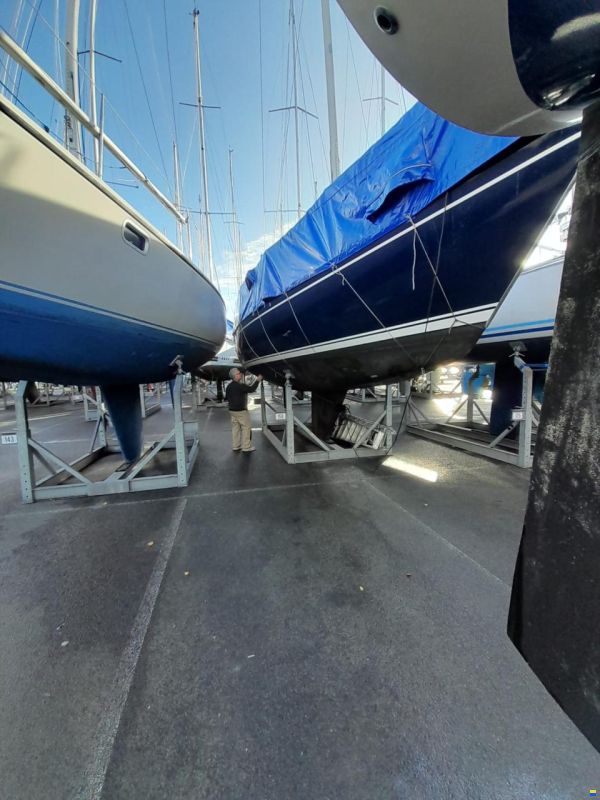Dehler 34/optima