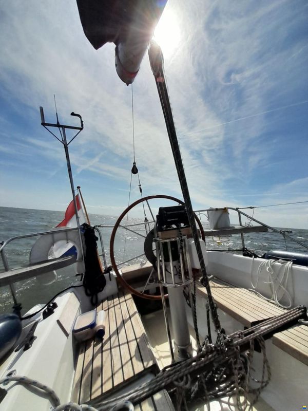 Dehler 34/optima