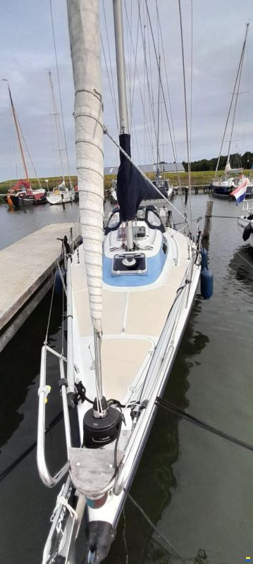 Dehler 34/optima