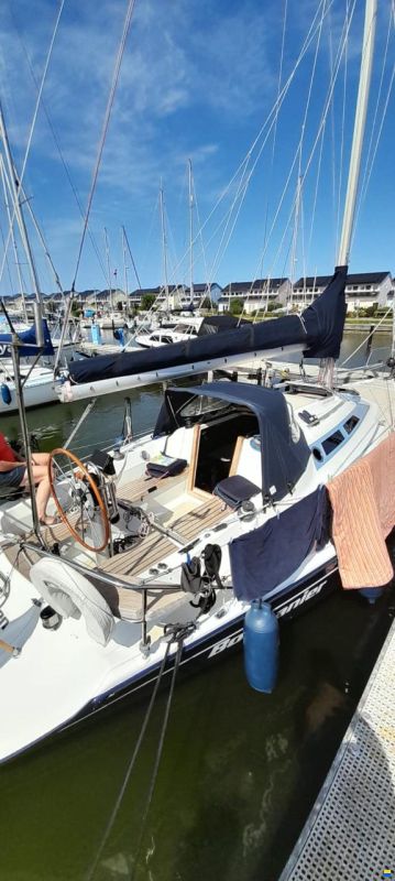 Dehler 34/optima