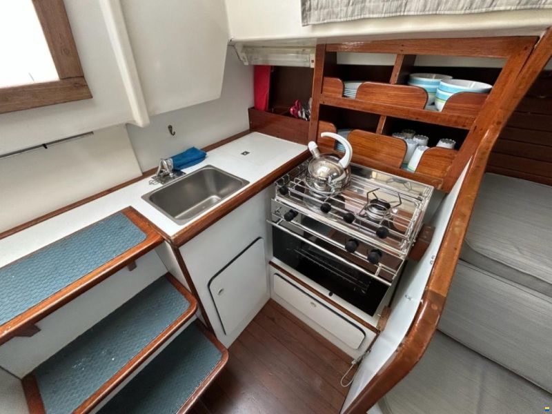 Britton Chance 29
