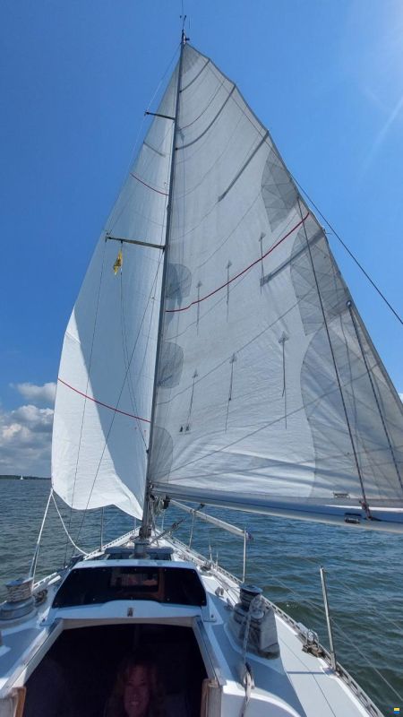 Britton Chance 29