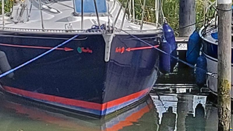 Britton Chance 29