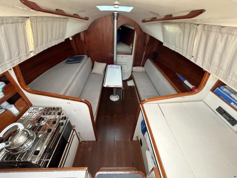 Britton Chance 29