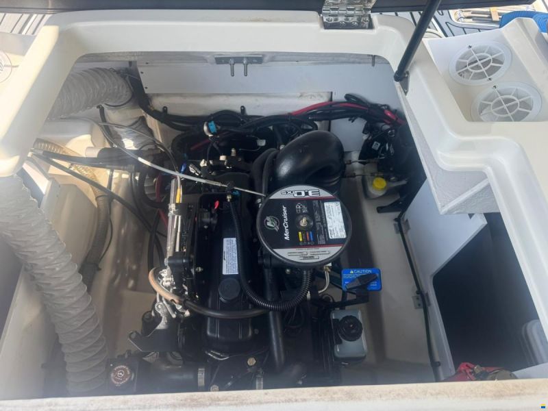 Sea Ray 190 SPX Bowrider