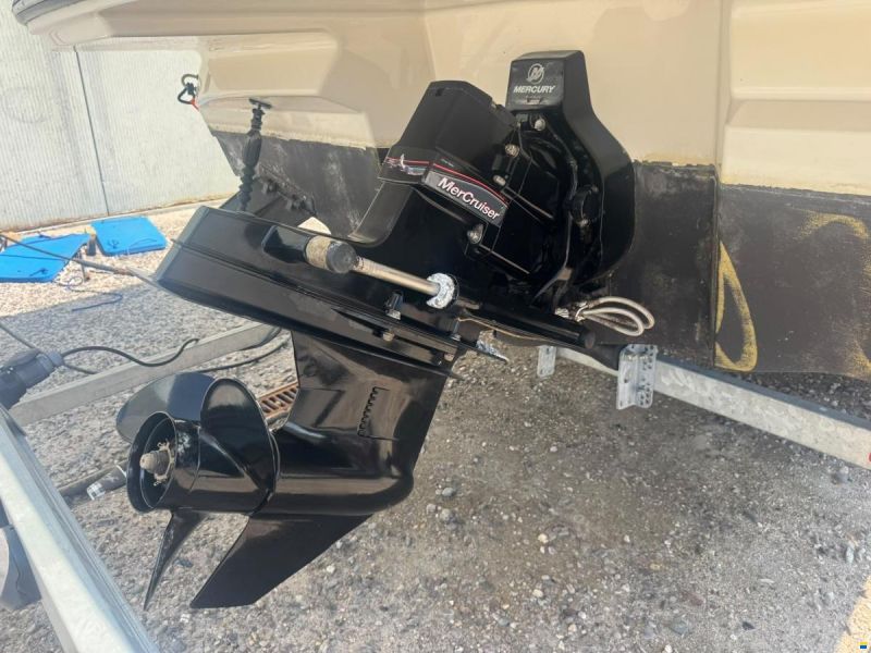 Sea Ray 190 SPX Bowrider
