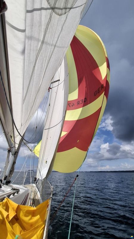 Dehler 29