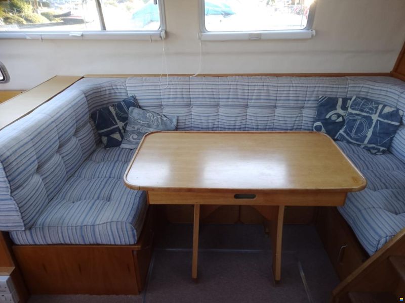 Charter 31