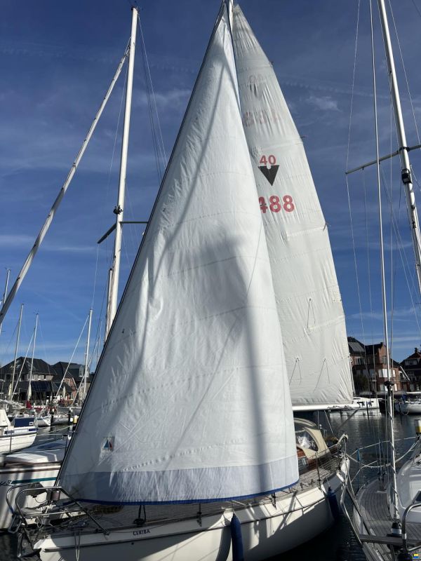 Vindö 40