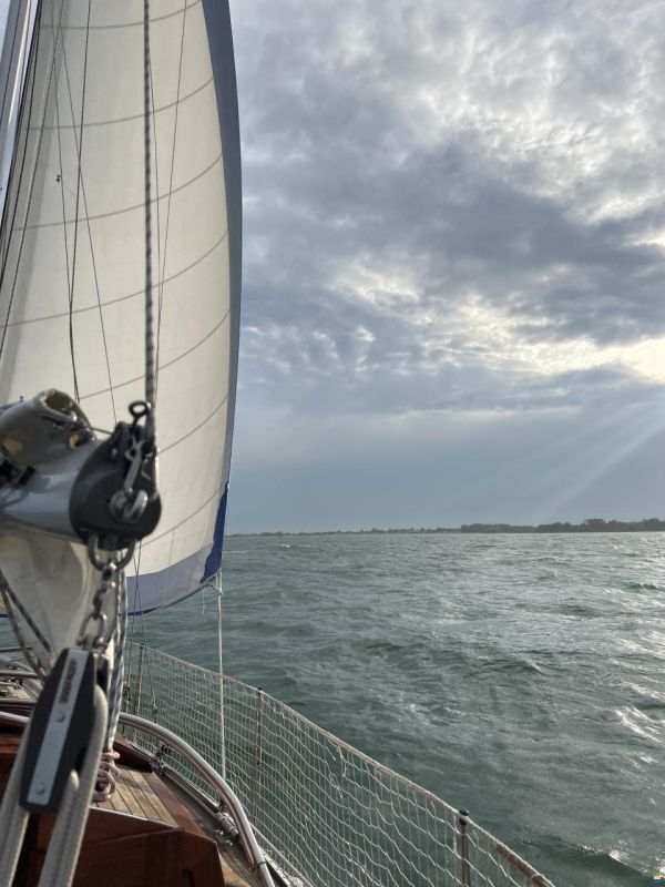 Vindö 40