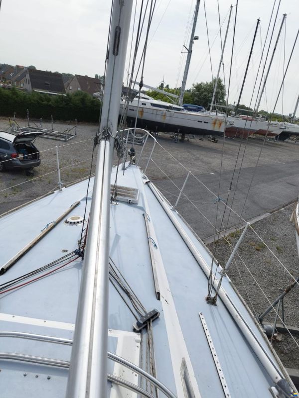 Westerly GK29