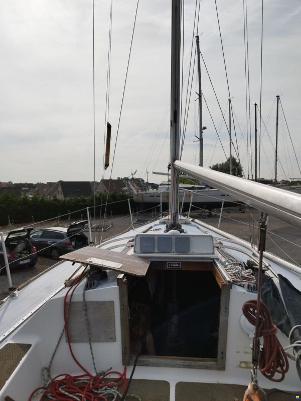 Westerly GK29