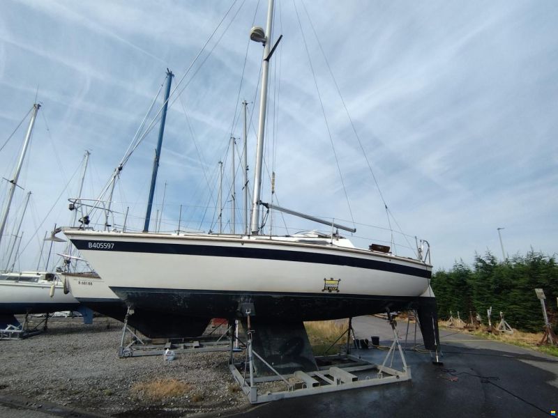 Westerly GK29