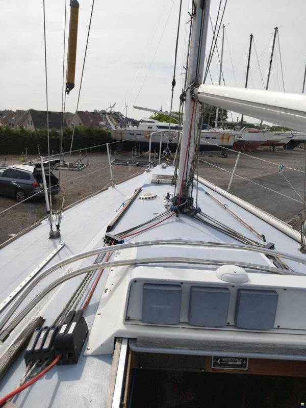 Westerly GK29