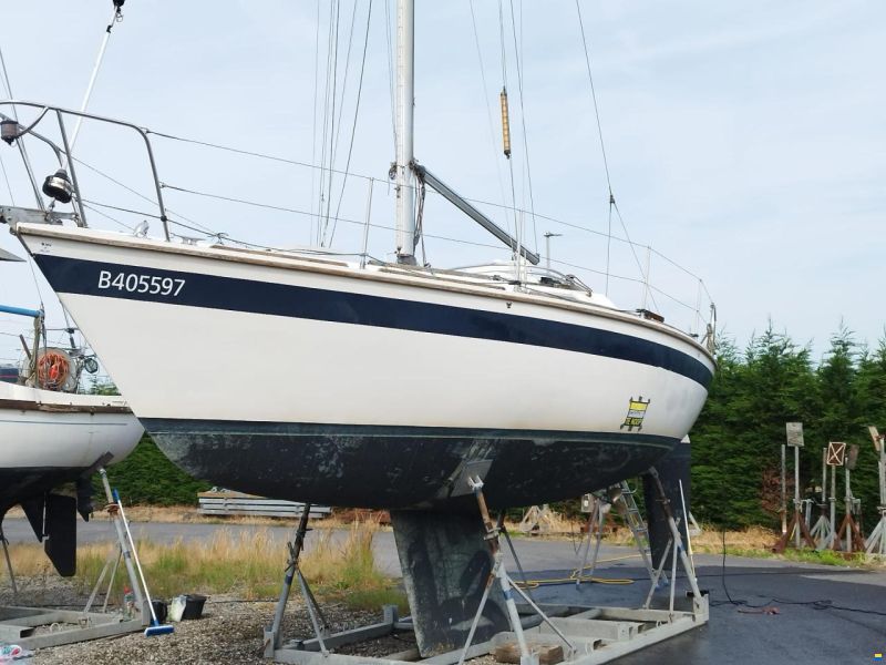 Westerly GK29