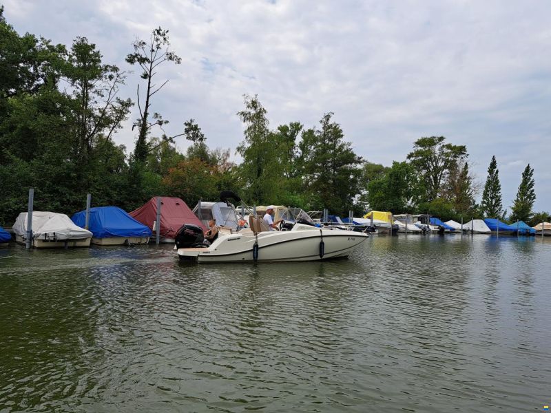 Quicksilver Activ 605 Sundeck