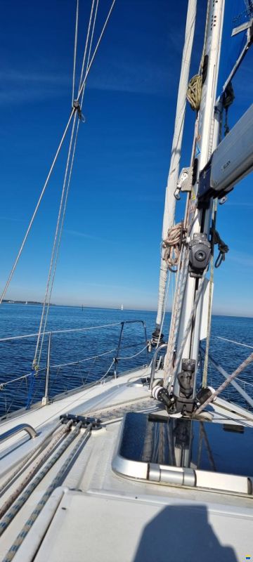 Bavaria 33 Exclusive