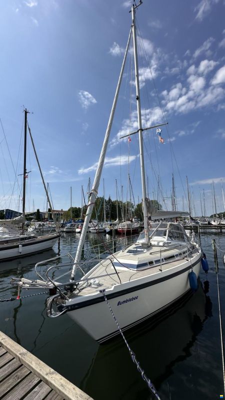 C-Yacht Compromis999
