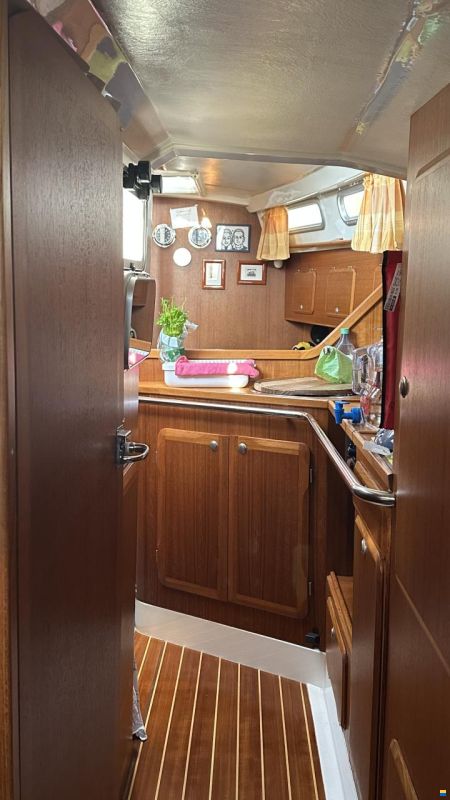 C-Yacht Compromis999