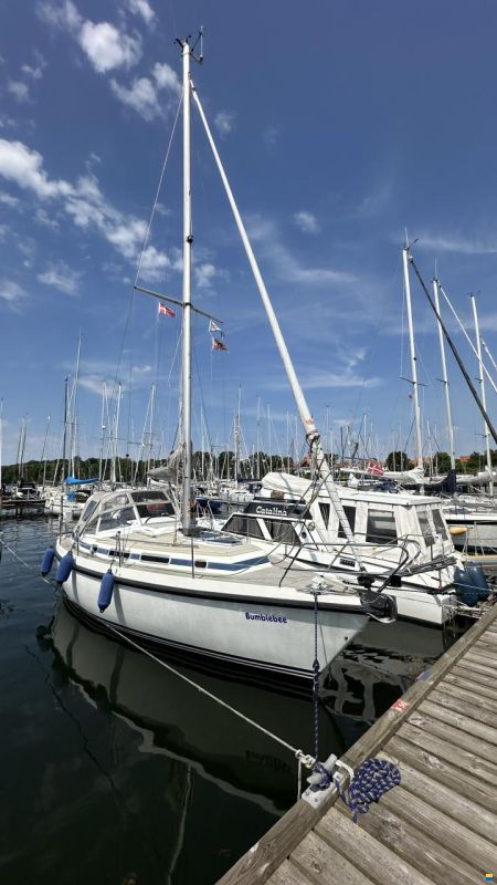 C-Yacht Compromis999