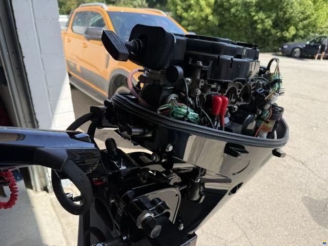 Mercury F 15 EH EFI