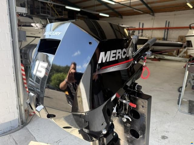 Mercury F 15 EH EFI