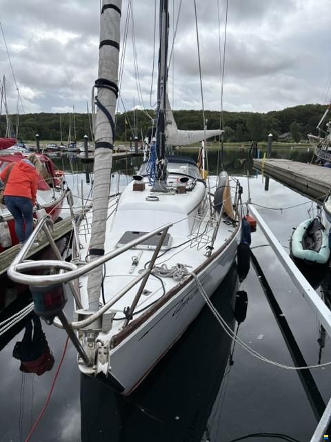 Carter 30