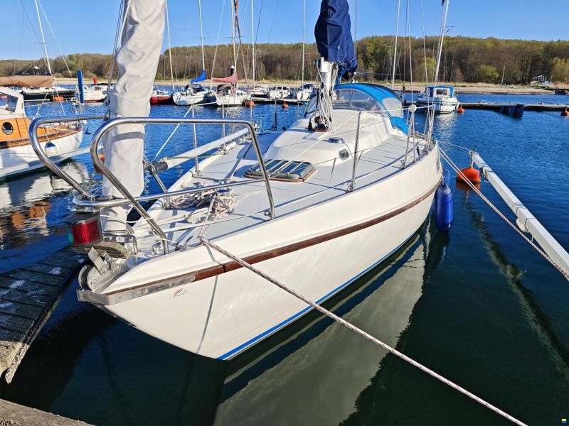 Deerberg Beryll 30