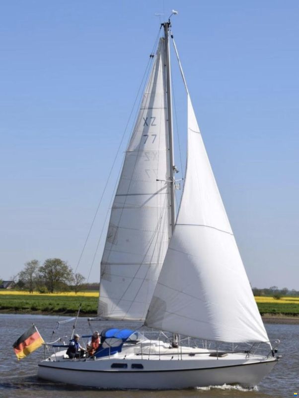 Deerberg Beryll 30