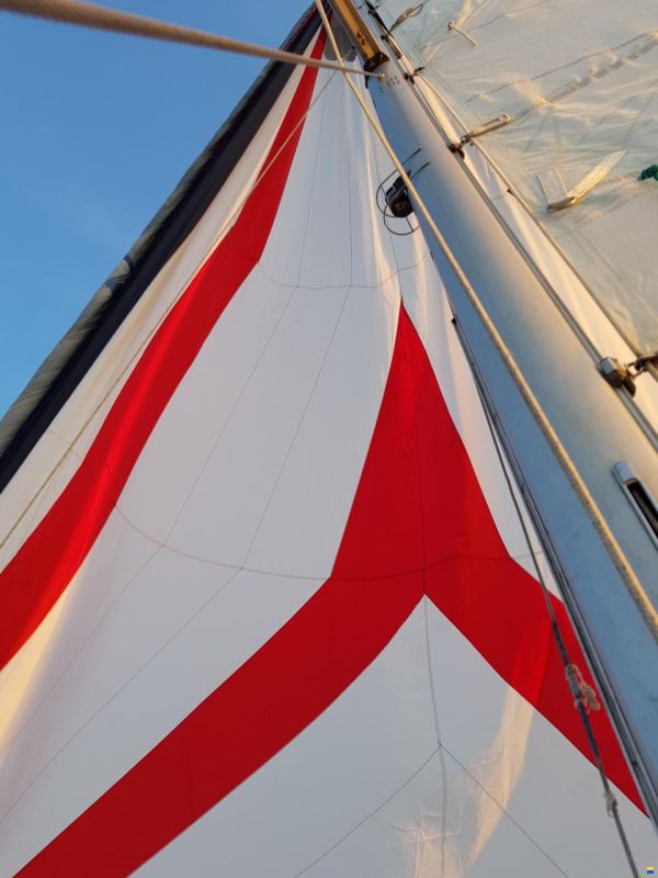 Comfortina Cayenne 42