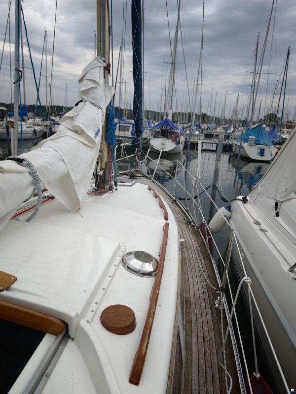 de Kloet Fellowship 28