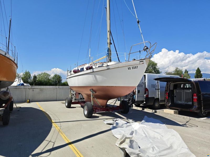 de Kloet Fellowship 28