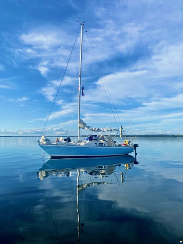 Shipman 28