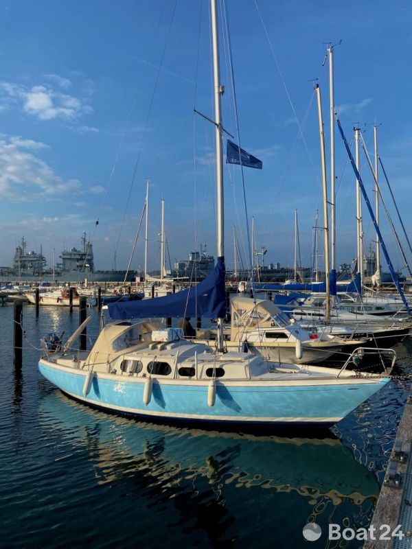 Shipman 28