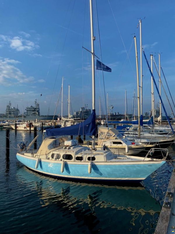 Shipman 28